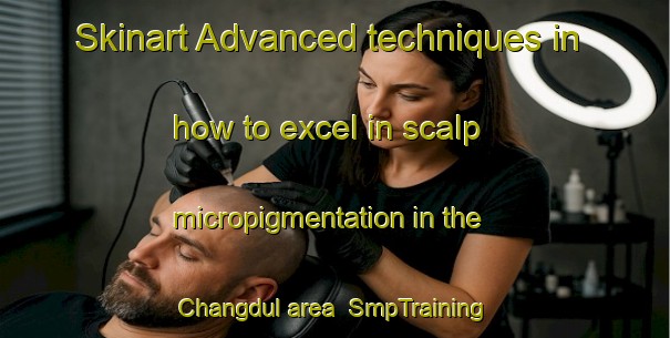 Skinart Advanced techniques in how to excel in scalp micropigmentation in the Changdul area | SmpTraining | SmpClasses | SkinartTraining-Korea