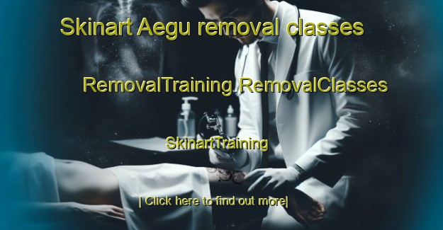 Skinart Aegu removal classes | #RemovalTraining #RemovalClasses #SkinartTraining-Korea