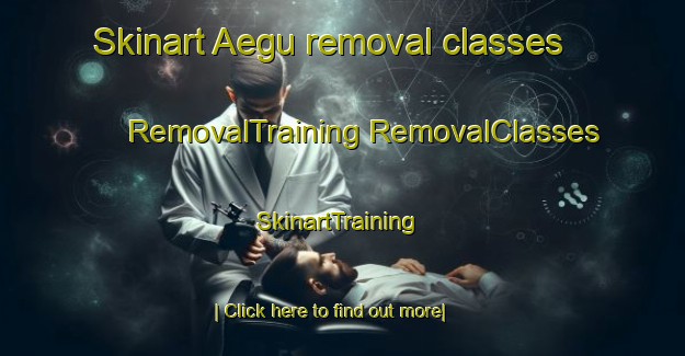 Skinart Aegu removal classes | #RemovalTraining #RemovalClasses #SkinartTraining-Korea