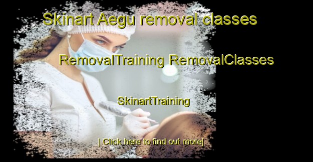 Skinart Aegu removal classes | #RemovalTraining #RemovalClasses #SkinartTraining-Korea