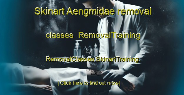 Skinart Aengmidae removal classes | #RemovalTraining #RemovalClasses #SkinartTraining-Korea