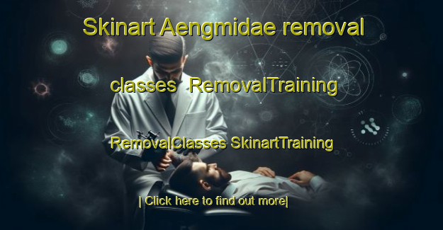 Skinart Aengmidae removal classes | #RemovalTraining #RemovalClasses #SkinartTraining-Korea