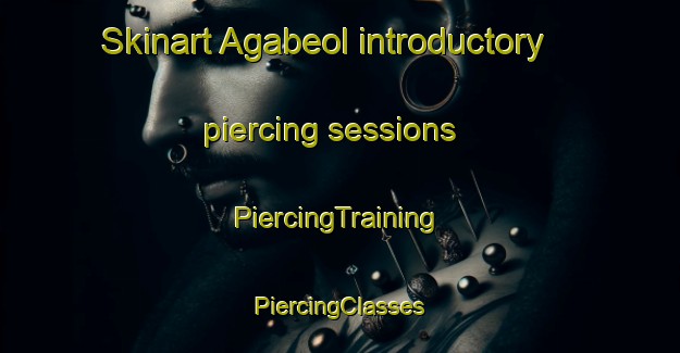 Skinart Agabeol introductory piercing sessions | #PiercingTraining #PiercingClasses #SkinartTraining-Korea