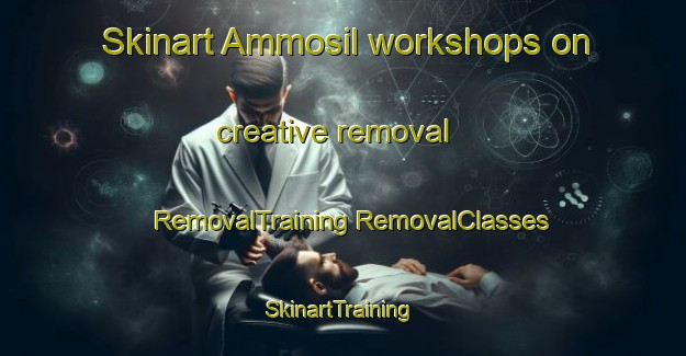 Skinart Ammosil workshops on creative removal | #RemovalTraining #RemovalClasses #SkinartTraining-Korea