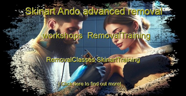 Skinart Ando advanced removal workshops | #RemovalTraining #RemovalClasses #SkinartTraining-Korea