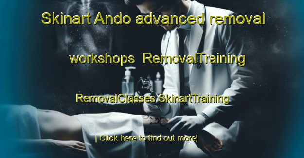 Skinart Ando advanced removal workshops | #RemovalTraining #RemovalClasses #SkinartTraining-Korea