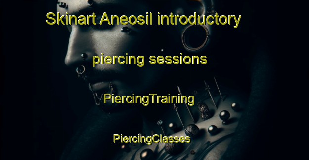 Skinart Aneosil introductory piercing sessions | PiercingTraining | PiercingClasses | SkinartTraining-Korea