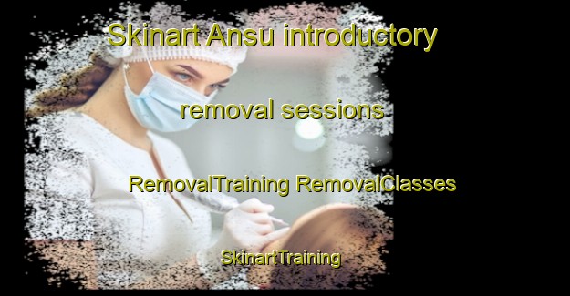 Skinart Ansu introductory removal sessions | #RemovalTraining #RemovalClasses #SkinartTraining-Korea