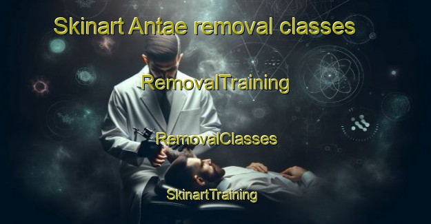Skinart Antae removal classes | RemovalTraining | RemovalClasses | SkinartTraining-Korea