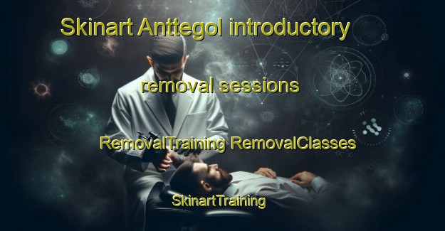 Skinart Anttegol introductory removal sessions | #RemovalTraining #RemovalClasses #SkinartTraining-Korea