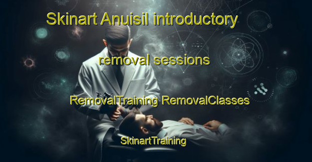 Skinart Anuisil introductory removal sessions | #RemovalTraining #RemovalClasses #SkinartTraining-Korea