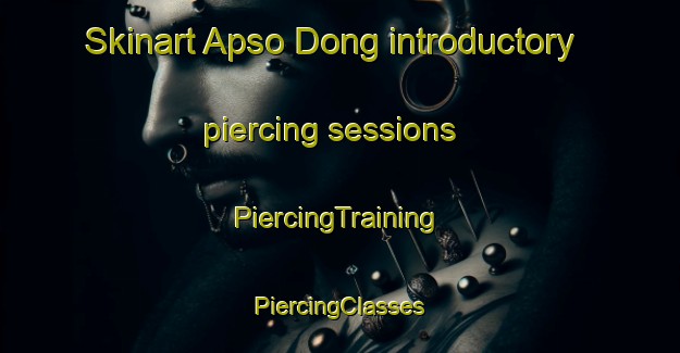 Skinart Apso Dong introductory piercing sessions | #PiercingTraining #PiercingClasses #SkinartTraining-Korea