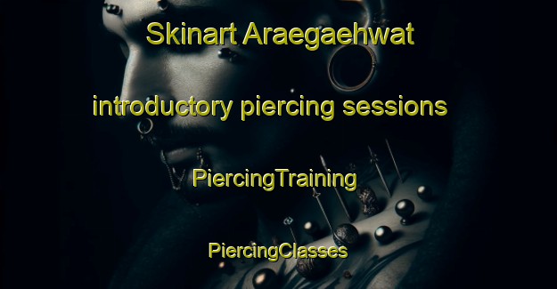 Skinart Araegaehwat introductory piercing sessions | #PiercingTraining #PiercingClasses #SkinartTraining-Korea