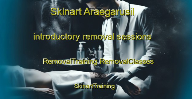 Skinart Araegarusil introductory removal sessions | #RemovalTraining #RemovalClasses #SkinartTraining-Korea