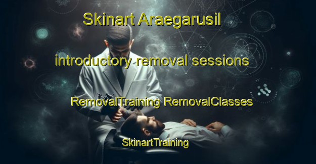 Skinart Araegarusil introductory removal sessions | #RemovalTraining #RemovalClasses #SkinartTraining-Korea