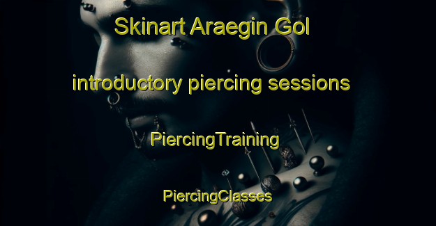 Skinart Araegin Gol introductory piercing sessions | #PiercingTraining #PiercingClasses #SkinartTraining-Korea