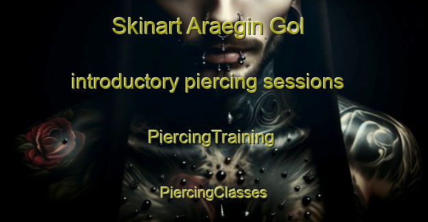 Skinart Araegin Gol introductory piercing sessions | #PiercingTraining #PiercingClasses #SkinartTraining-Korea