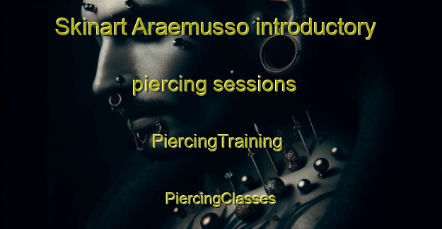 Skinart Araemusso introductory piercing sessions | #PiercingTraining #PiercingClasses #SkinartTraining-Korea