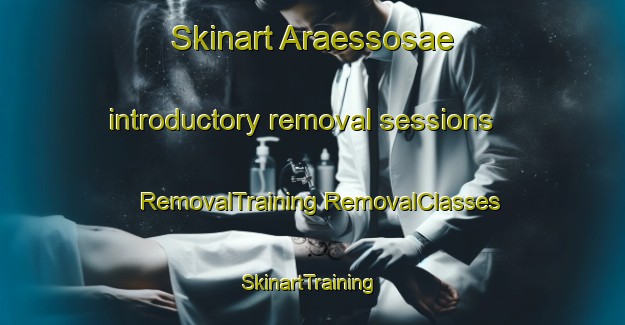 Skinart Araessosae introductory removal sessions | #RemovalTraining #RemovalClasses #SkinartTraining-Korea