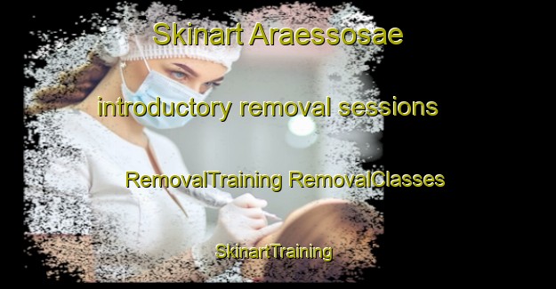 Skinart Araessosae introductory removal sessions | #RemovalTraining #RemovalClasses #SkinartTraining-Korea