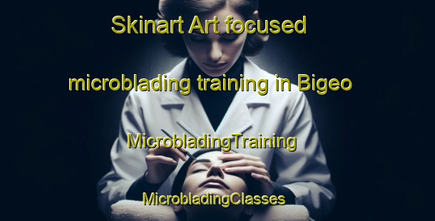 Skinart Art-focused microblading training in Bigeo | MicrobladingTraining | MicrobladingClasses | SkinartTraining-Korea