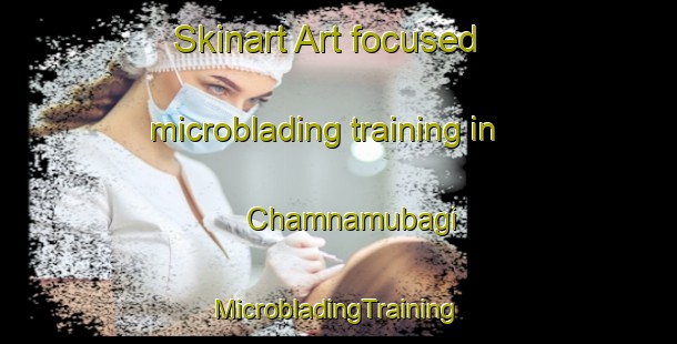 Skinart Art-focused microblading training in Chamnamubagi | #MicrobladingTraining #MicrobladingClasses #SkinartTraining-Korea