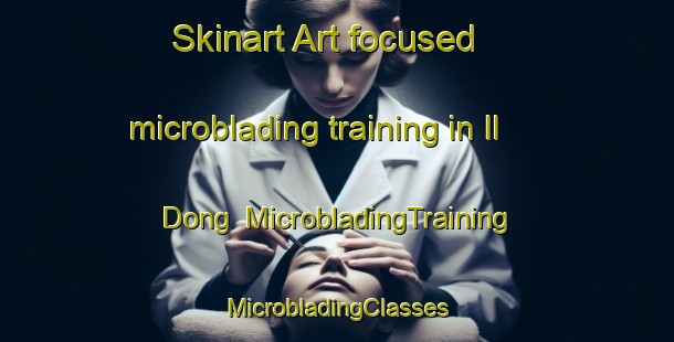 Skinart Art-focused microblading training in Il Dong | #MicrobladingTraining #MicrobladingClasses #SkinartTraining-Korea