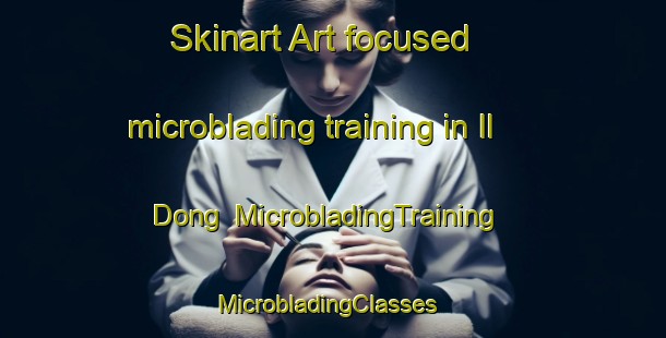 Skinart Art-focused microblading training in Il Dong | MicrobladingTraining | MicrobladingClasses | SkinartTraining-Korea