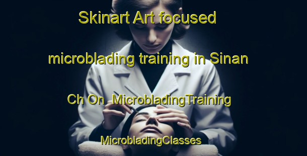 Skinart Art-focused microblading training in Sinan Ch On | MicrobladingTraining | MicrobladingClasses | SkinartTraining-Korea