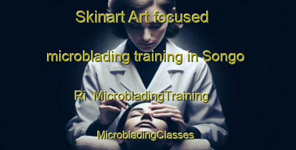 Skinart Art-focused microblading training in Songo Ri | MicrobladingTraining | MicrobladingClasses | SkinartTraining-Korea