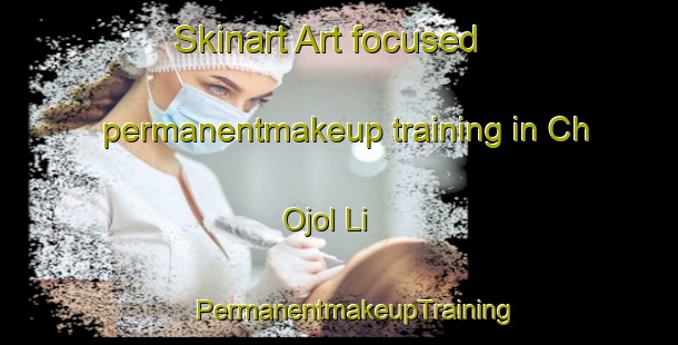 Skinart Art-focused permanentmakeup training in Ch Ojol Li | #PermanentmakeupTraining #PermanentmakeupClasses #SkinartTraining-Korea