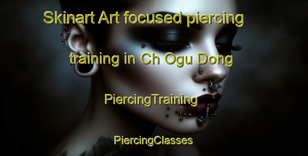 Skinart Art-focused piercing training in Ch Ogu Dong | #PiercingTraining #PiercingClasses #SkinartTraining-Korea