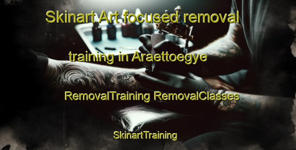 Skinart Art-focused removal training in Araettoegye | #RemovalTraining #RemovalClasses #SkinartTraining-Korea