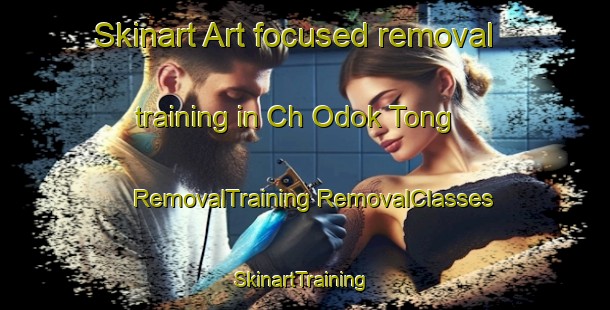 Skinart Art-focused removal training in Ch Odok Tong | #RemovalTraining #RemovalClasses #SkinartTraining-Korea