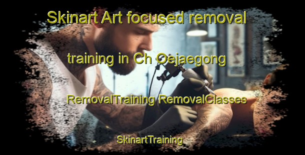 Skinart Art-focused removal training in Ch Oejaegong | #RemovalTraining #RemovalClasses #SkinartTraining-Korea