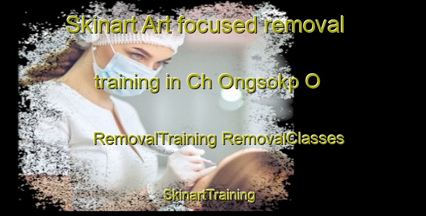 Skinart Art-focused removal training in Ch Ongsokp O | #RemovalTraining #RemovalClasses #SkinartTraining-Korea