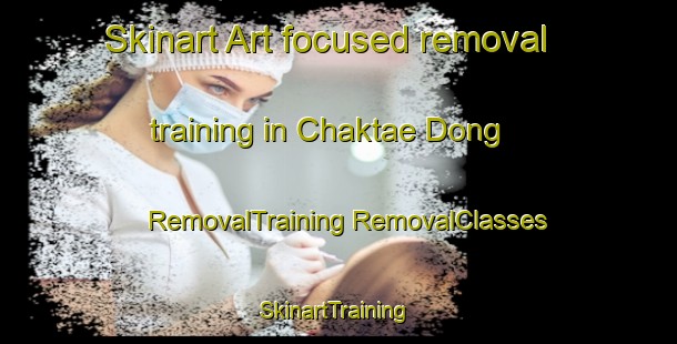 Skinart Art-focused removal training in Chaktae Dong | #RemovalTraining #RemovalClasses #SkinartTraining-Korea