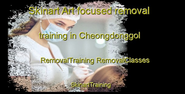 Skinart Art-focused removal training in Cheongdonggol | #RemovalTraining #RemovalClasses #SkinartTraining-Korea