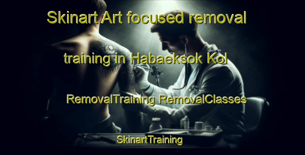 Skinart Art-focused removal training in Habaeksok Kol | #RemovalTraining #RemovalClasses #SkinartTraining-Korea