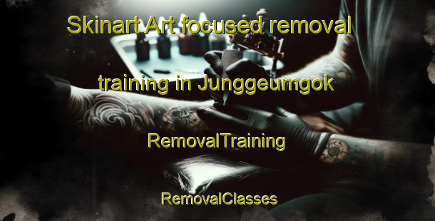 Skinart Art-focused removal training in Junggeumgok | RemovalTraining | RemovalClasses | SkinartTraining-Korea