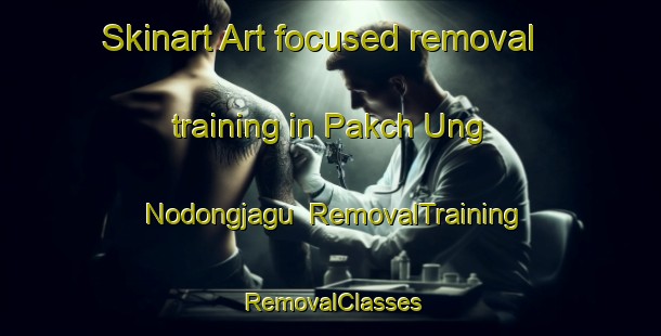Skinart Art-focused removal training in Pakch Ung Nodongjagu | RemovalTraining | RemovalClasses | SkinartTraining-Korea