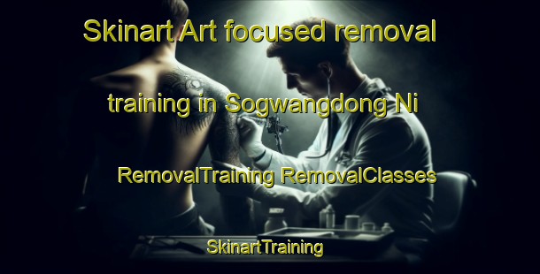 Skinart Art-focused removal training in Sogwangdong Ni | #RemovalTraining #RemovalClasses #SkinartTraining-Korea