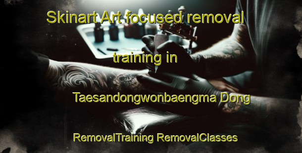 Skinart Art-focused removal training in Taesandongwonbaengma Dong | #RemovalTraining #RemovalClasses #SkinartTraining-Korea