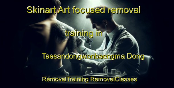 Skinart Art-focused removal training in Taesandongwonbaengma Dong | #RemovalTraining #RemovalClasses #SkinartTraining-Korea