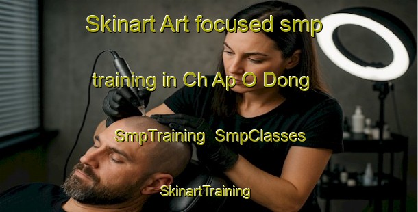 Skinart Art-focused smp training in Ch Ap O Dong | SmpTraining | SmpClasses | SkinartTraining-Korea