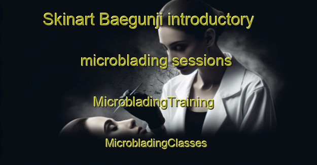 Skinart Baegunji introductory microblading sessions | MicrobladingTraining | MicrobladingClasses | SkinartTraining-Korea