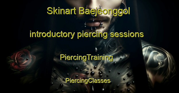 Skinart Baejeonggol introductory piercing sessions | PiercingTraining | PiercingClasses | SkinartTraining-Korea