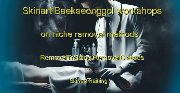 Skinart Baekseonggol workshops on niche removal methods | #RemovalTraining #RemovalClasses #SkinartTraining-Korea