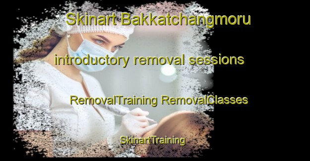 Skinart Bakkatchangmoru introductory removal sessions | #RemovalTraining #RemovalClasses #SkinartTraining-Korea