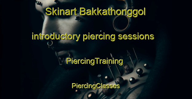 Skinart Bakkathonggol introductory piercing sessions | #PiercingTraining #PiercingClasses #SkinartTraining-Korea